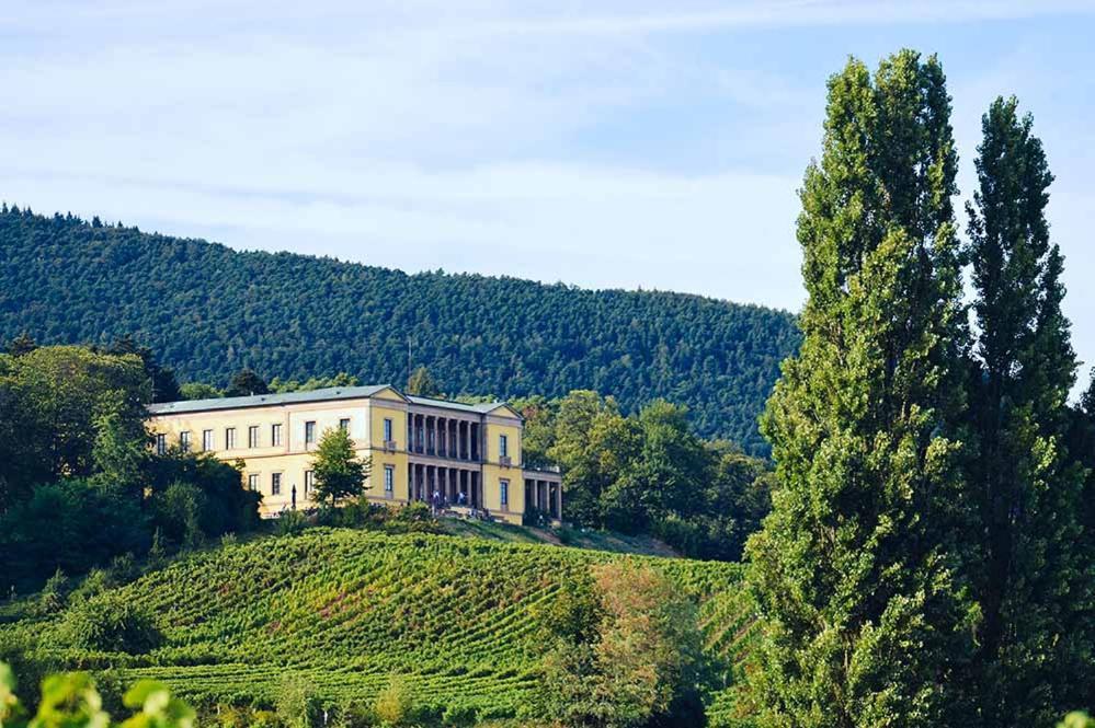 Pfalz-Dorfhaus Burrweiler Exterior foto